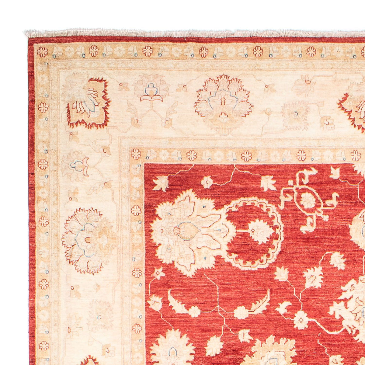 Ziegler Teppich 243x310cm - Orientteppich