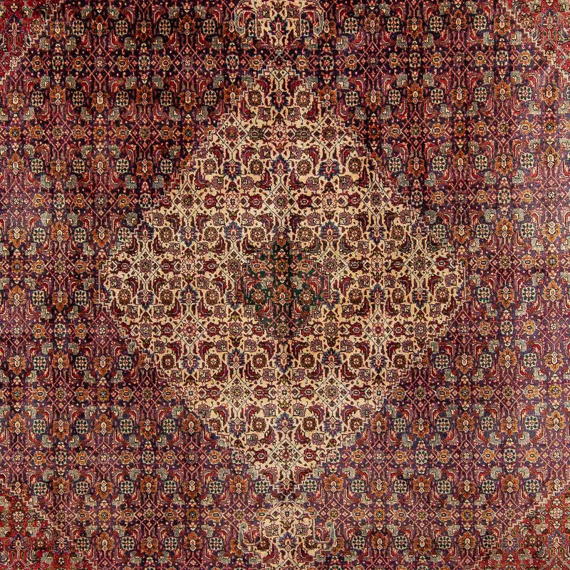 Täbriz Teppich 310x392cm - Perserteppich - mehrfarbig