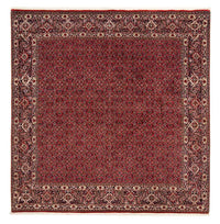 Bidjar Teppich 205x205cm - Perserteppich - dunkelrot – product image