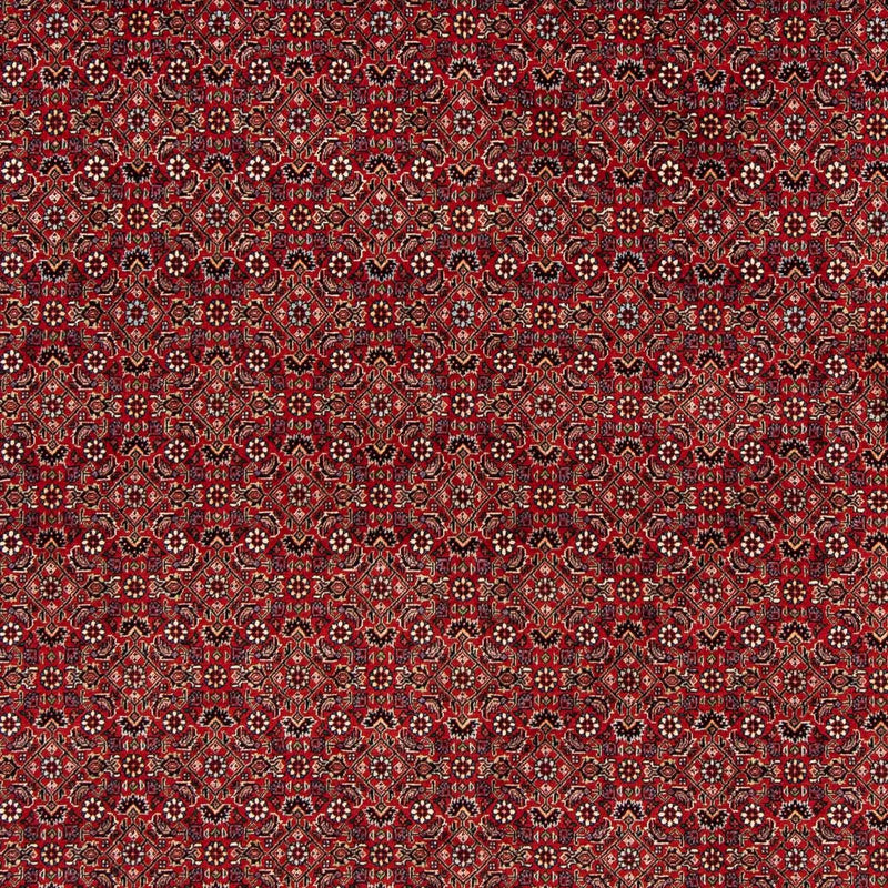 Bidjar Teppich 205x205cm - Perserteppich - dunkelrot