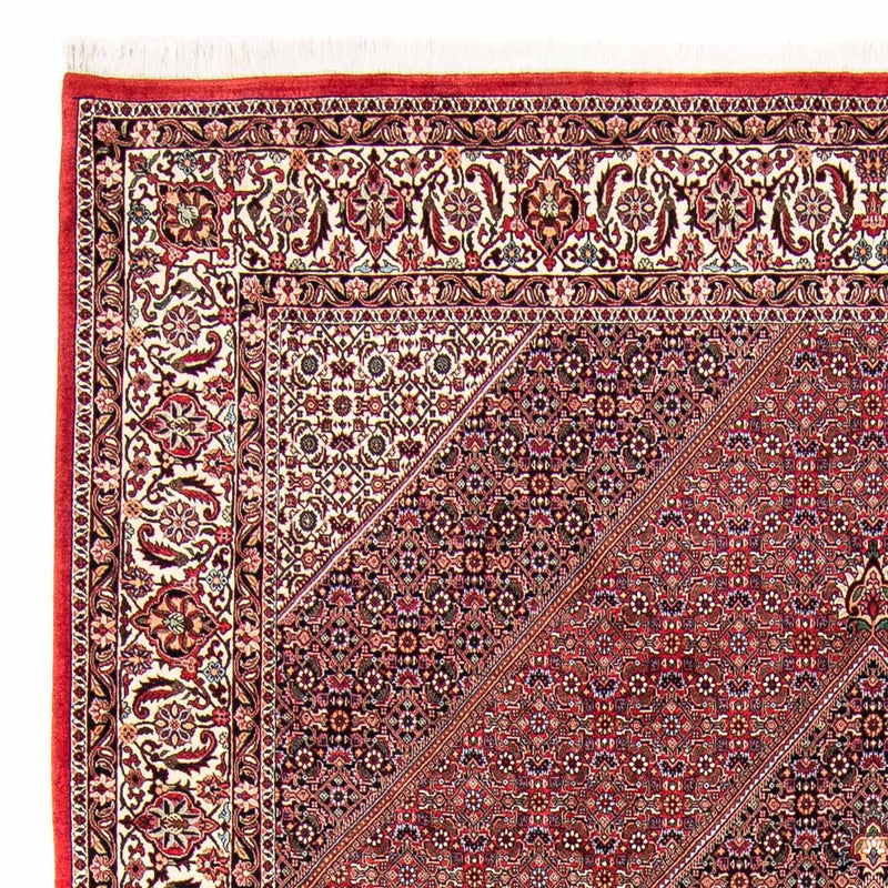 Bidjar Teppich 258x298cm - Perserteppich - rot