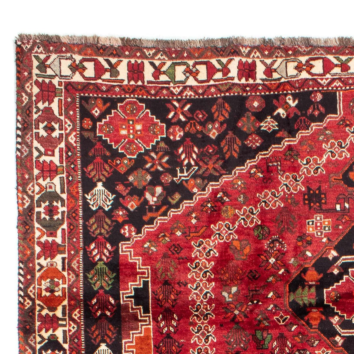 Shiraz Teppich 230x320cm - Perserteppich