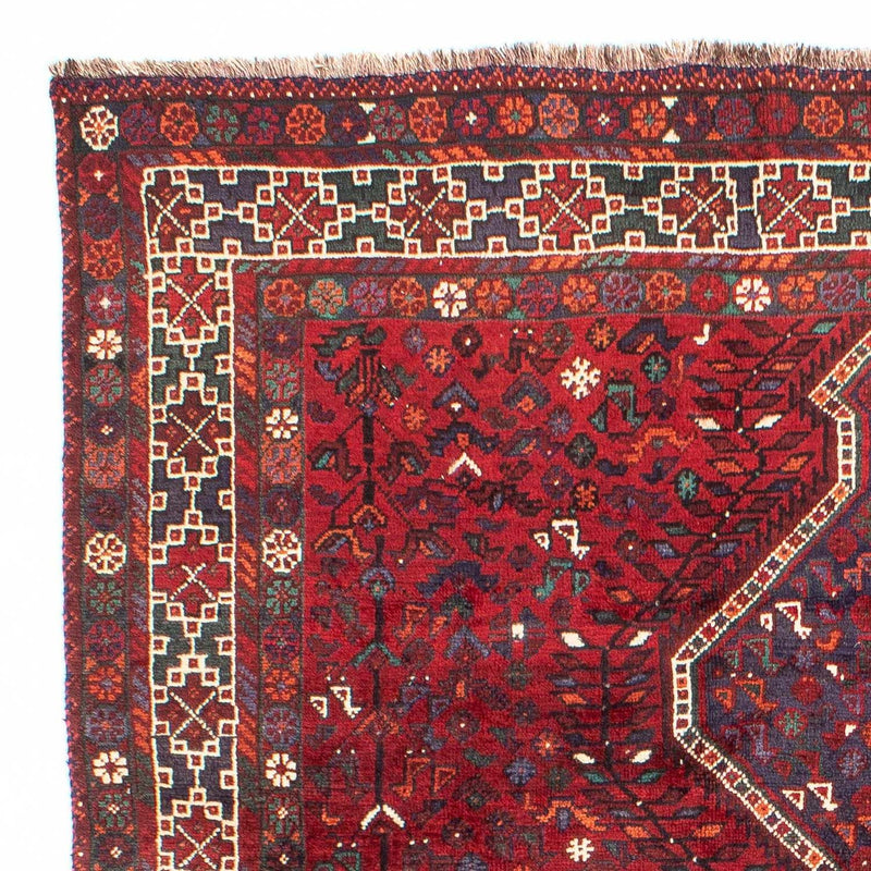 Shiraz Teppich 208x300cm - Perserteppich