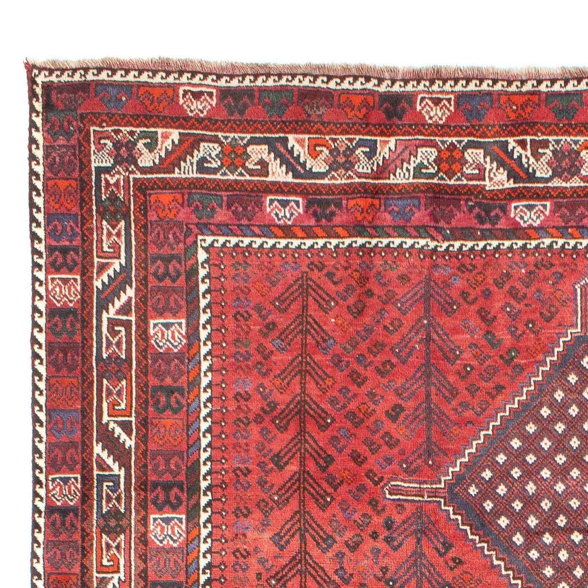 Shiraz Teppich 215x310cm - Perserteppich - rot