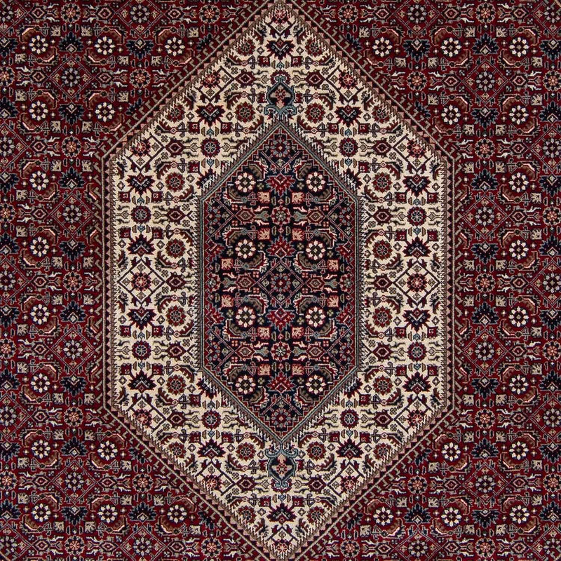 Bidjar - Takab Teppich 249x303cm - Perserteppich - dunkelrot